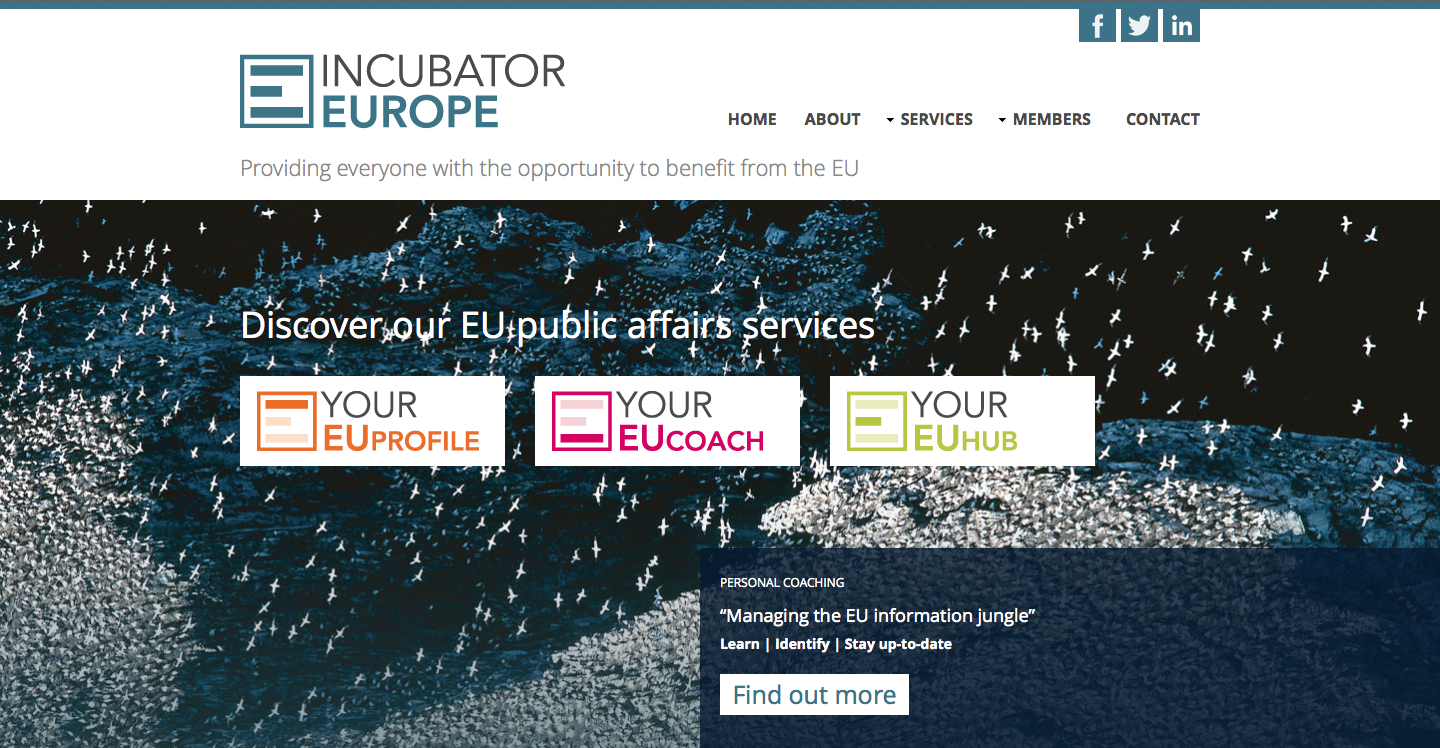 Incubator Europe website