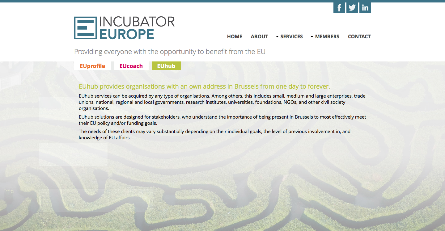 Incubator Europe website